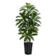 thumbnail image 1 of Árbol de dracaena artificial TNGGNT, yuca tropical de seda sintética de 6 pies, 1 of 9