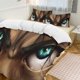 thumbnail image 1 of Attack On Titan Quilt Set Thicken Soft 3 Pieces Bedding Set All Season Duvet Cove with 2 Pillowcases for Adult Women Girls Teens Home Room Decor, 1 of 5