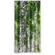 thumbnail image 1 of Cortina de ducha con diseño de abedul en el bosque, con ganchos, 91 x 183 cm, 1 of 3
