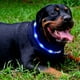 thumbnail image 3 of Collar LED para perro, recargable por USB, luminoso, para seguridad nocturna, moderno y con luz para perros pequeños, medianos y grandes., 3 of 8