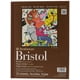 thumbnail image 1 of Strathmore 475-3, Serie 400 Bristol, Vellum de 2 capas, 9"x12" encuadernado con cinta, 15 hojas, blanco, 1 of 2