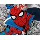 thumbnail image 5 of Juego De Cama Spiderman Spidey Vs Twin Tamaño Doble 5 Piezas, 5 of 7