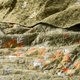 thumbnail image 2 of Quilt 2 Plaza Estampado 230 Cm x 250 Cm, 2 of 2