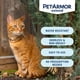 thumbnail image 5 of Collar PetArmor para tratamiento de pulgas y garrapatas que prolonga 8 meses para gatos, 5 of 9