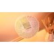thumbnail image 4 of Baraja Regalia White Gold de Shin Lim Magic, 4 of 7