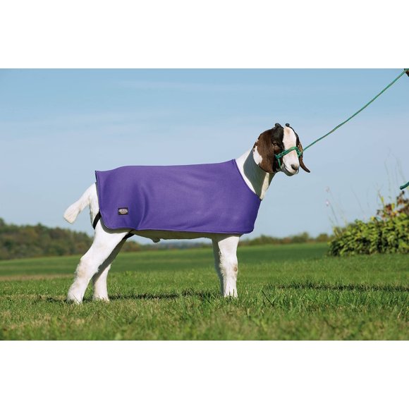 Cobija interior Weaver Livestock XS/S púrpura para ovejas y cabras