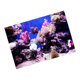 thumbnail image 5 of Pecera Acuario Pegatina Adhesivo 3D Cartel Decoración Fondo 61x41cm, 5 of 5