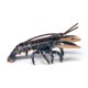 thumbnail image 2 of La figurita Papo Lobster estimula la imaginación y ayuda al aprendizaje, 2 of 7