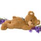thumbnail image 1 of Peluche Aromático Lilly's Love Oso de Lavanda Calentable y Refrigerable, 1 of 8