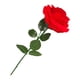 thumbnail image 5 of Romántica Caja De Anillo Con Flor De Rosa Roja, Caja De Regalos Para El Día De San Valentín Para Ceremonia Para Esposa, 5 of 5