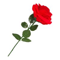 Magideal - Caja De Anillo De Rosa De Terciopelo Rojo, Cajas De Regalo De Joyería Para Pendientes, Caja De Anillo De Joyería, Caja De Anillo De Compromiso, Soport