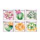 thumbnail image 2 of 6pcs 13x13cm efecto 3d antideslizante impermeable pegatina ba?era plantas suculentas, 2 of 5