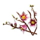 thumbnail image 5 of Ramas De Magnolia Lego Botanicals, 5 of 9