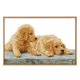thumbnail image 5 of Kit de punto de cruz de dos perros DIY, contado para principiantes, 59 x 39 cm, 11CT, sellado, 5 of 5