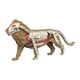 thumbnail image 4 of Modelo De Cuerpo Animal Para El Aprendizaje, Material Didáctico Para Niños Que Estudian En Casa (3108), 4 of 5