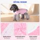 thumbnail image 3 of Traje de recuperación para perros Pawcomon, ropa quirúrgica anti lamido, 3 of 6