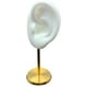 thumbnail image 3 of Soporte De Exhibición De Pendientes Modelo De Oreja Soporte De Perno Con Base Para Escaparate De Cumplea?os Blanco Izquierdo, 3 of 5