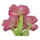 thumbnail image 3 of Ramo lirio artificial, 3 of 4