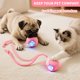 thumbnail image 2 of Juguete para gato MAXTOOA Bola rodante automática inteligente rosa, 2 of 7