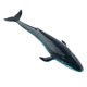 thumbnail image 1 of Ballena Realista Modelo Animal Educación Figura Suave Juguete Para Ni?os Ballena Azul, 1 of 5