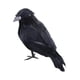 thumbnail image 5 of Cuervos De Halloween Cuervos Con Plumas Negras Realistas Para Disfraces Elegantes Patio Césped Estilo B, 5 of 5