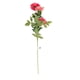 thumbnail image 1 of Flor Boton De Oro Artificial Rojo *4 69Cm, 1 of 2
