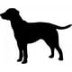 thumbnail image 1 of Decomural Labrador Dog Pack WS-33063, 1 of 2