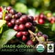 thumbnail image 5 of Café Tiny Footprint Fair Trade Organic Nicaragua 1,36 kg, 5 of 8