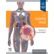 thumbnail image 4 of El sistema renal 3ª Ed., 4 of 4