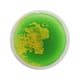 thumbnail image 2 of Liquid The Tiles Alfombra De Juego De Actividades Redonda De 30 Cm Para Niños Y Niños Amarillo Y Verde, 2 of 5