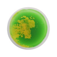 Magideal - Suelos Sensoriales Líquidos, Azulejos Decorativos, Juguetes De Aprendizaje Temprano, Suelos Sensoriales Líquidos, Estera Decorativa Para Niños, Regalo Amarillo Y Verde