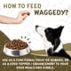 thumbnail image 5 of Multivitamínico y protector del sistema inmunitario para perros Waggedy 120 Chews, 5 of 8