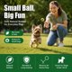 thumbnail image 5 of Pelotas de tenis INSUM 2.0" pack de 6 – juguete chirriante para perros, 5 of 7