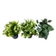 thumbnail image 3 of Planta artificial 9x24cm, 3 of 9
