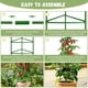 thumbnail image 4 of Tutor para tomates Legigo de 1,6 m, paquete de 4, estacas de soporte para plantas, 4 of 8