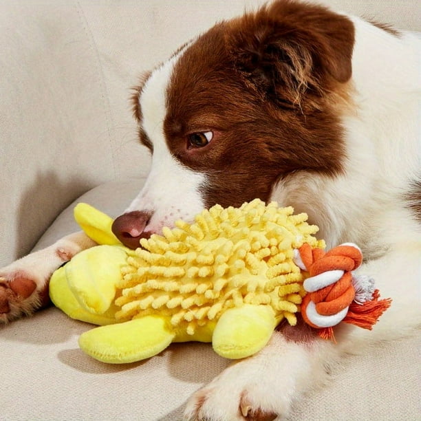Pet Dog Plush Toy Dog Chew Toy Squeaky Toy Puppy Molar Toy Dog Interactive Toy Pet Supplies