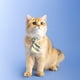 thumbnail image 2 of Pidan® Cuello Corbata Elegante Para Gato, 2 of 3