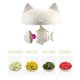thumbnail image 2 of Taza de té BignoseDeer, bonita taza de vidrio con infusor de pescado, 250 ml, 2 of 8