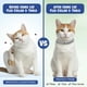 thumbnail image 5 of Collar antipulgas y antigarrapatas para gatos BKRMART, 8 meses, impermeable, 2 unidades, 5 of 7