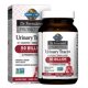 thumbnail image 1 of Garden of Life Dr. Formulated Probiotics Urinary Tract+ - Acidophilus Probiotic with Pacran Cranberry for Urinary Tract Health, Digestive Balance - sin Gluten, Lácteos y Soya - 60 Cápsulas Vegetar..., 1 of 7