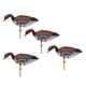 thumbnail image 1 of 4 Se?uelo De Caza De Ganso De Tama?o Completo Para Exteriores 3D Target Garden Lawn Decor Scarer, 1 of 5