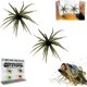 thumbnail image 1 of Señuelo criatura tentáculo delicadeza realista hundimiento lento plástico blando pesca lubina, 1 of 8