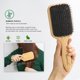 thumbnail image 3 of Cepillo BESTOOL Bamba Cerdas Jabala Nylon Paddle, 3 of 3