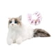 thumbnail image 4 of Gato Ragdoll, Animal relleno, gato de juguete de peluche, gatito, juguete de peluche, muñeco de gato realista, compañero para niños, niñas, amantes de Pañuelo gato rosa, 4 of 5