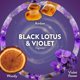 thumbnail image 4 of Air Wick Aceites Aromáticos 0+4 Loto Negro y Violeta, 4 of 9
