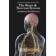 thumbnail image 1 of El cerebro y el sistema nervioso en la insuficiencia suprarrenal, 1 of 1