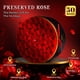 thumbnail image 3 of Flores preservadas Vryblos 50 Forever Red Roses en caja, 3 of 8