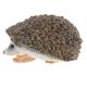 thumbnail image 5 of Figura Realista De Animal Salvaje, Figura De Juguete, Decoración Del Hogar, Erizo Grande, 5 of 5