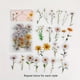 thumbnail image 1 of 40pcs/pack Plant Nature Flower Decorative PVC Sticker For Scrapbooking DIY Label Diary Stationery Album Journal Daisy Mushroom Stick, 1 of 5