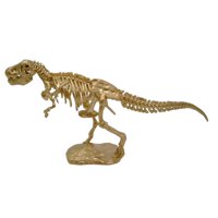 Magideal - Estatua De Esqueleto De Tiranosaurio Rex, Estatuilla De Animal, Minifigura Decorativa Coleccionable, Regalo De Cumpleaños, Escultura De Aleación De Or